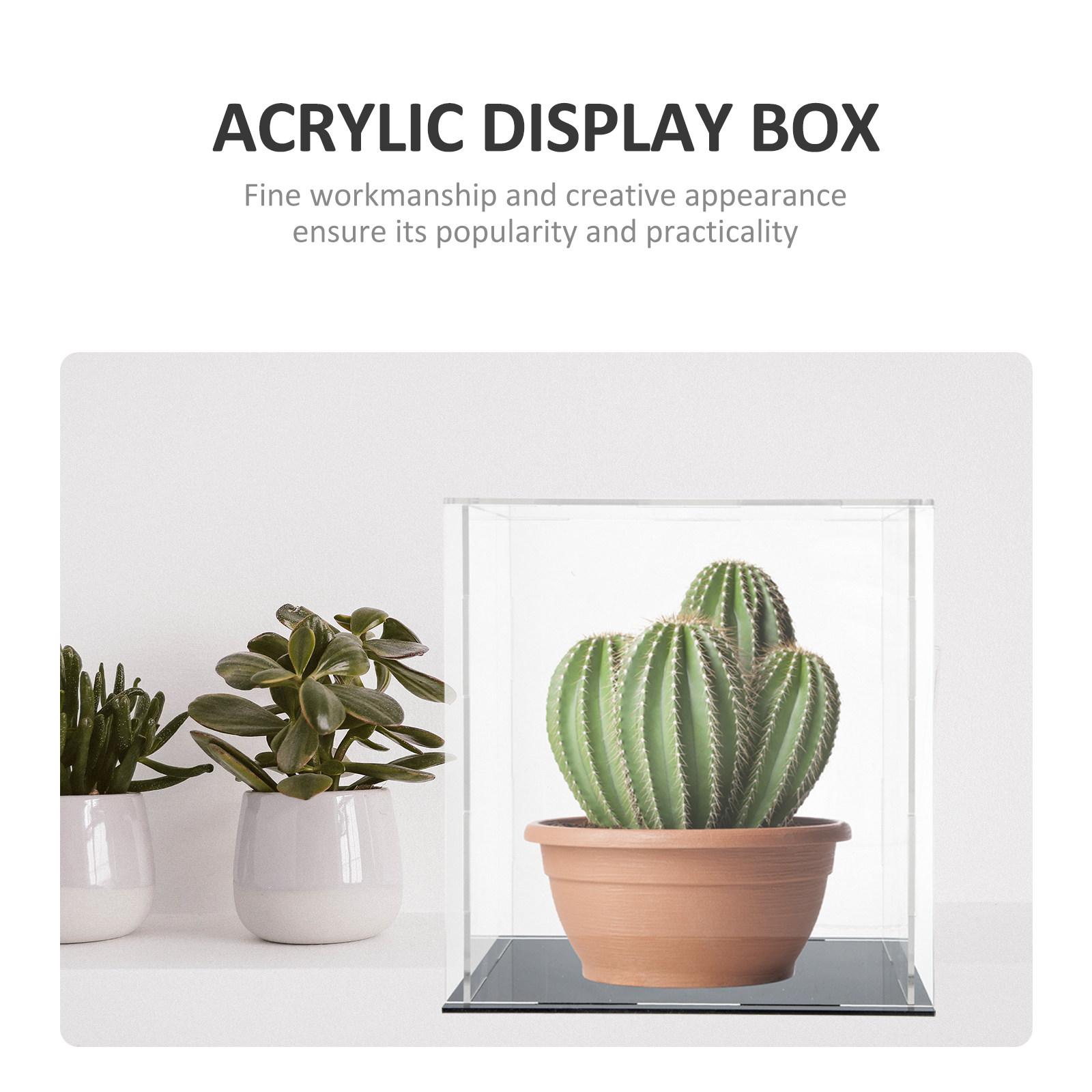 Heavy-Duty Acrylic Display Box - Display Case Acrylic 评论和价格