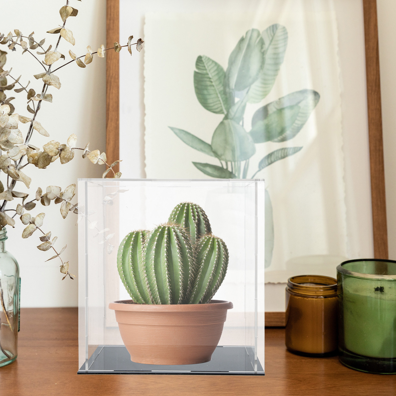 Heavy-Duty Acrylic Display Box - Display Case Acrylic 评论和价格